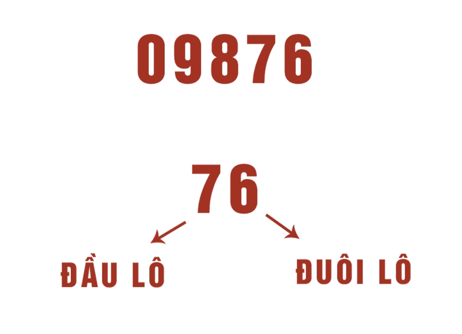 Một số lô gồm có đầu lô và đuôi lô Một số lô gồm có đầu lô và đuôi lô